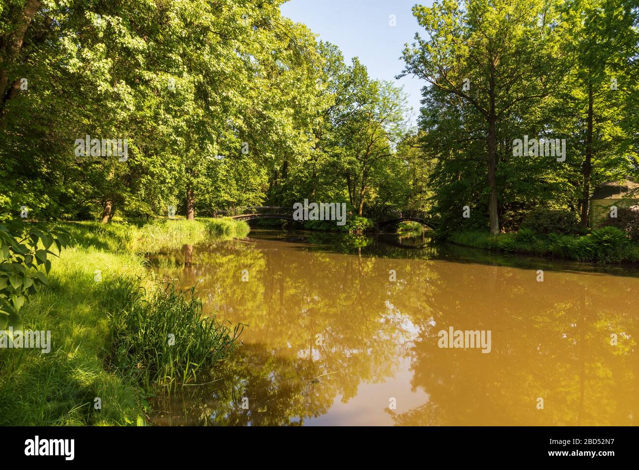 Ruisseau avec petit pont, arbres au-dessus et ciel clair dans le parc du château de Pszczyna ville en Pologne Banque D'Images