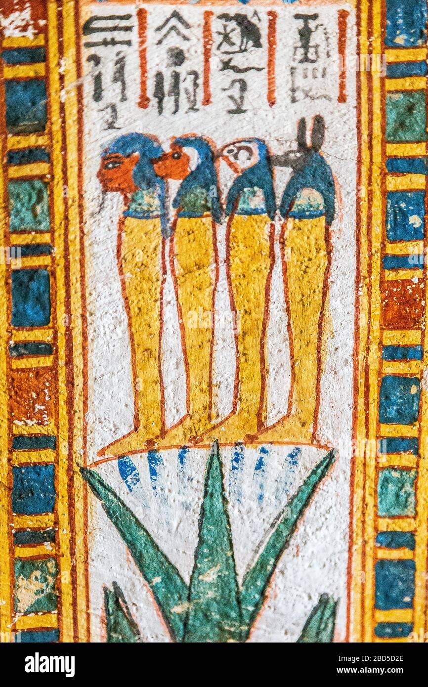 Thèbes en Egypte, Vallée des Nobles (Dra Abu el Naga), tombe de Roy. Les quatre fils d'Horus sur leur lotus, avec des erreurs à les identifier. Banque D'Images
