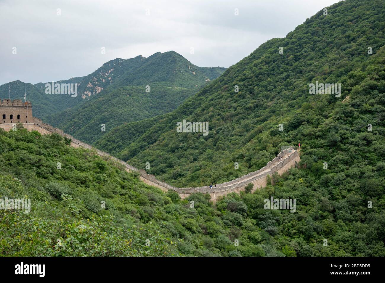 Fin abrupte de la partie restaurée de la Grande Muraille de Chine, district de Yanqing, près de Pékin, Chine Banque D'Images