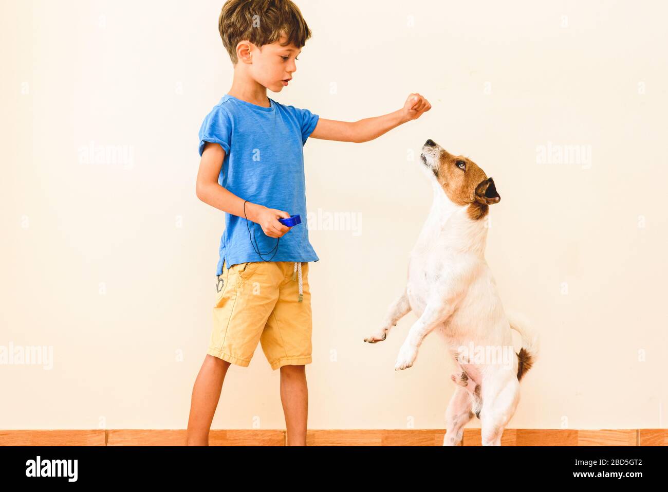 Restez à la maison apprendre nouveau concept de compétence avec des tours de chien d'entraînement de garçon avec clicker et renforcement positif Banque D'Images