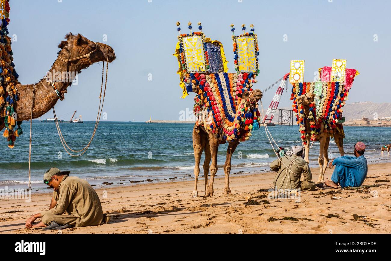 Plage de Kushan, Keemari, Karachi, Sindh, Pakistan, Camel & Horse Ride en attente de clients dans l'après-midi Banque D'Images