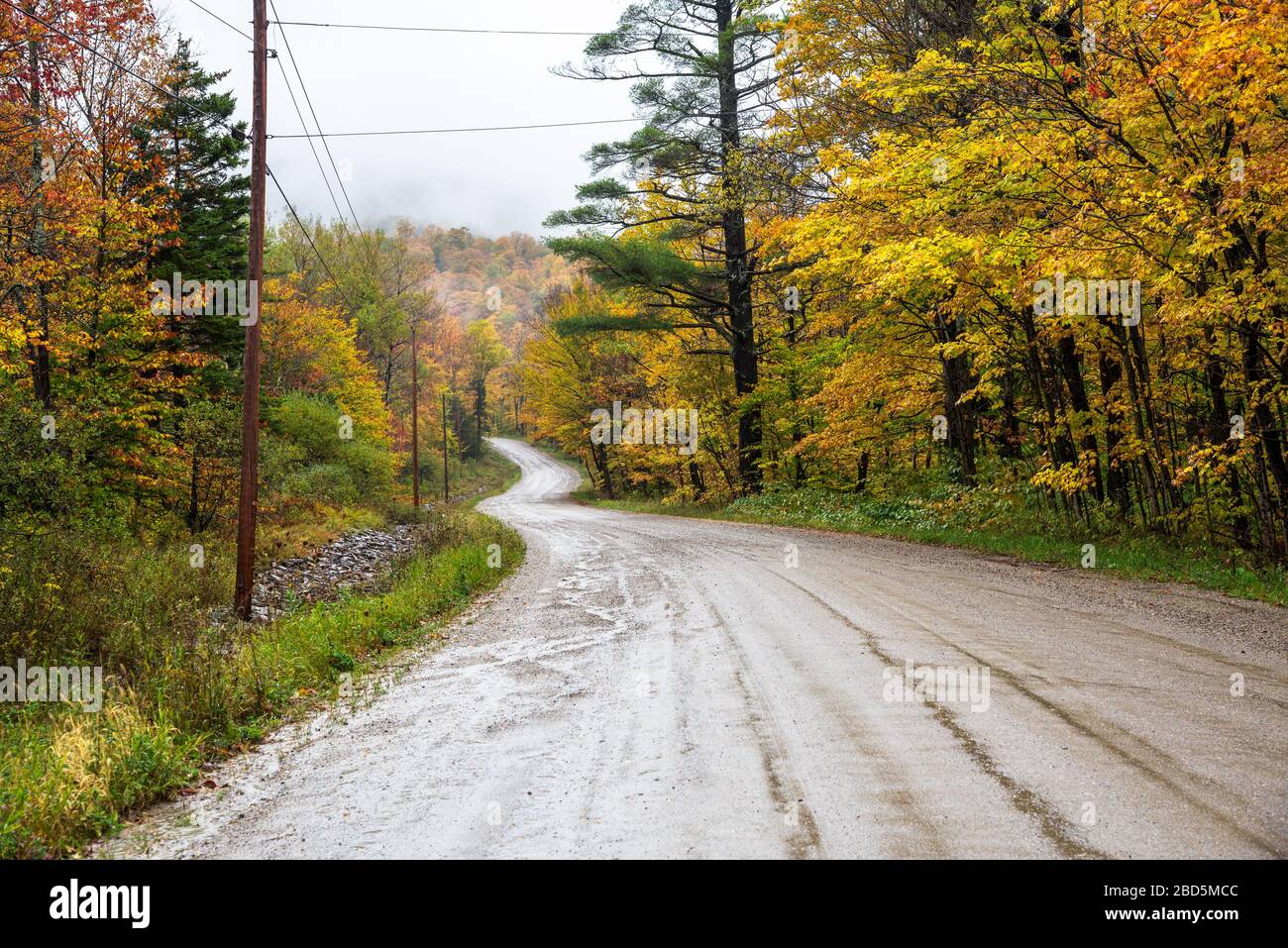 Tortueux chemin de montagne boueux à travers une forêt colorée lors d'un jour d'automne pluvieux. Belles couleurs d'automne. Banque D'Images