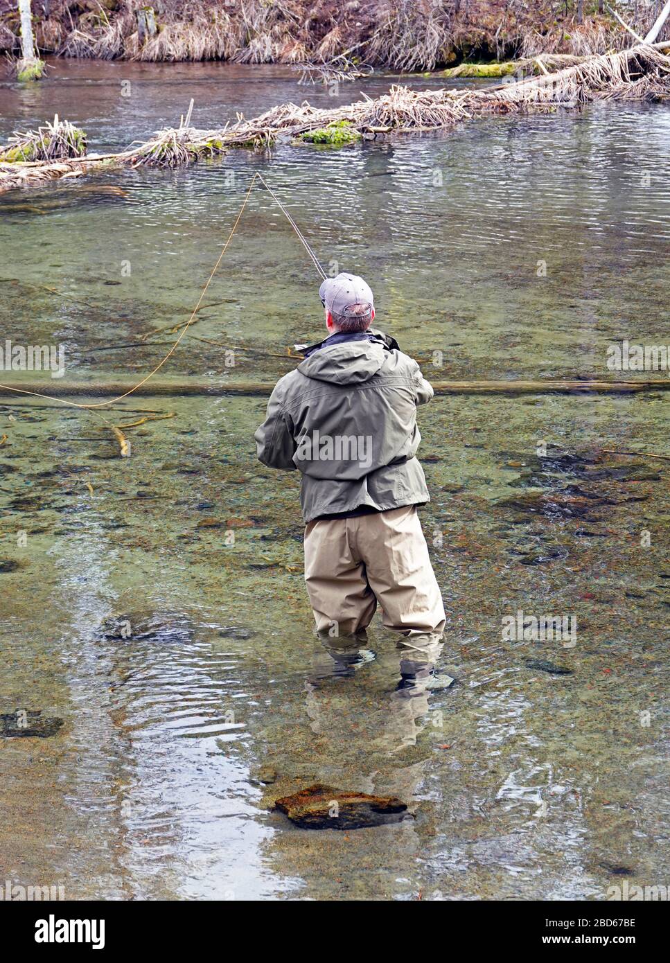 Un pêcheur à la mouche projette une truite arc-en-ciel montante sur la rivière Fall dans le centre de l'Oregon au début du printemps. Banque D'Images