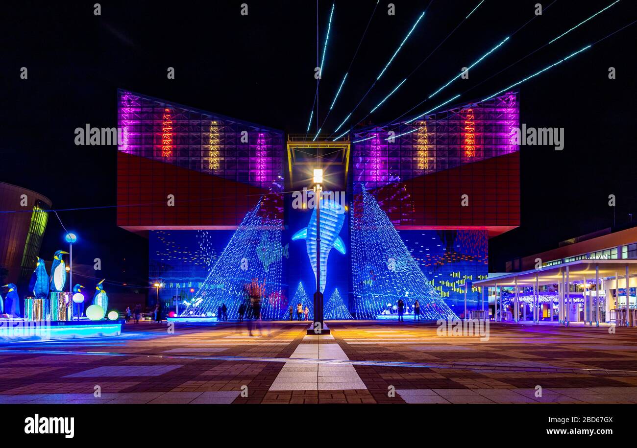 Une photo de l'aquarium lumineux d'Osaka Kaiyukan, la nuit. Banque D'Images