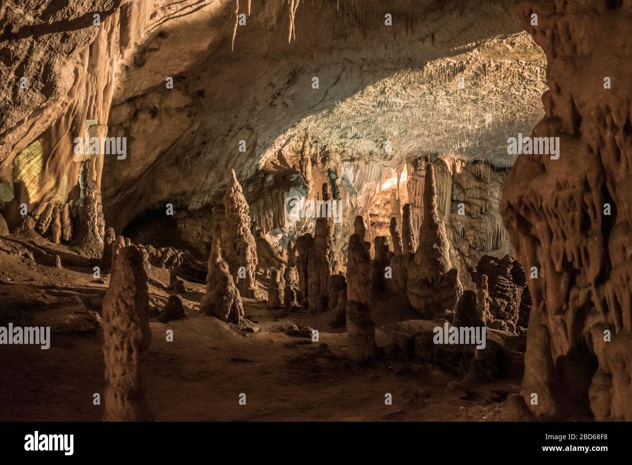Les stalactites détaillent les Postojna, Slovénie Banque D'Images