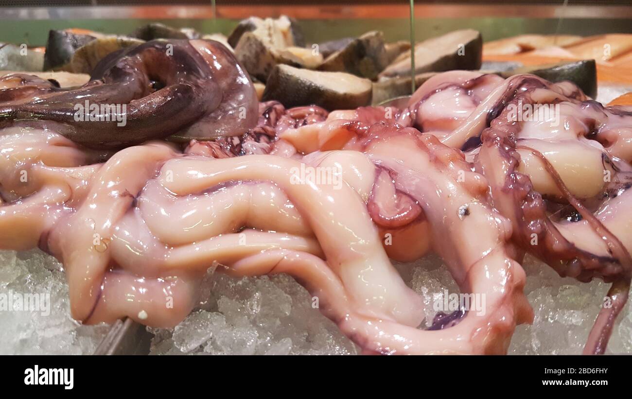 Calmar frais et Octopus sur le marché du poisson. Fruits de mer sains dans la glace. Banque D'Images