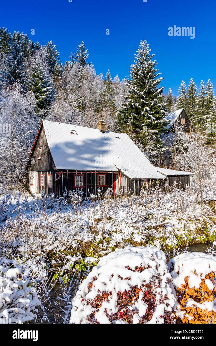 Cottage à Orlicke Hory, Bohême orientale, République tchèque Banque D'Images