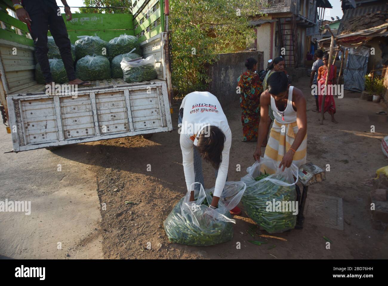 Murbad, Maharashtra, Inde. 13 janvier 2014. Farmer Weighting et de charger des ladyfingers frais d'une ferme pendant le verrouillage national.après les mouvements restreints et la fermeture des principaux marchés pendant le verrouillage de 21 jours, la demande pour tous les légumes dans la ville a augmenté. Les rares agriculteurs à avoir accès à la demande sont occupés pendant cette période de verrouillage. Crédit: Sandeep Rasal/SOPA Images/ZUMA Wire/Alay Live News Banque D'Images