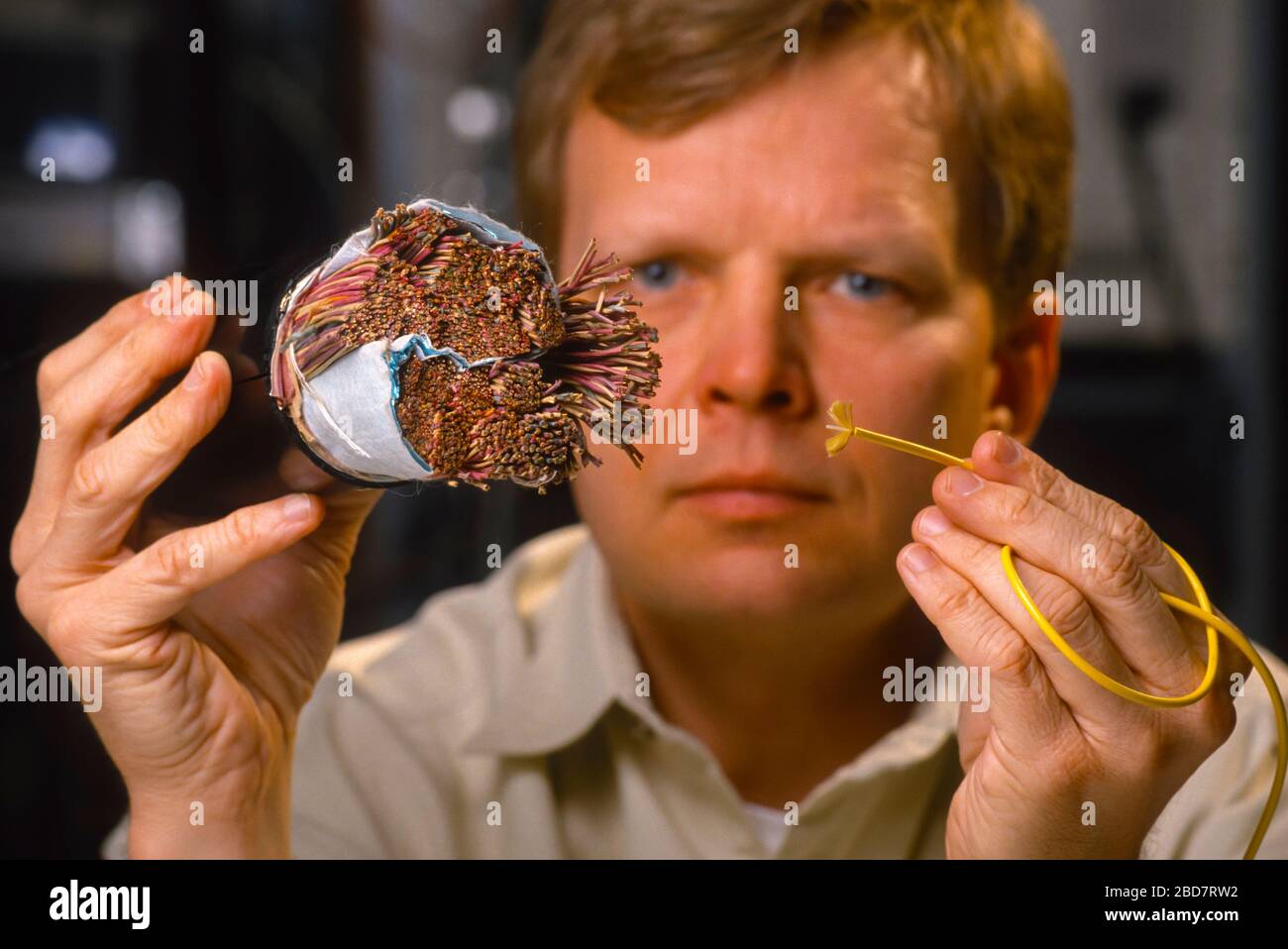 ARLINGTON, VIRGINIA, USA, 12 MARS 1993: Le technicien tient le câble à fibres optiques, à droite, ce qui est plus rapide que l'ancien câble téléphonique à 900 paires à gauche. Banque D'Images