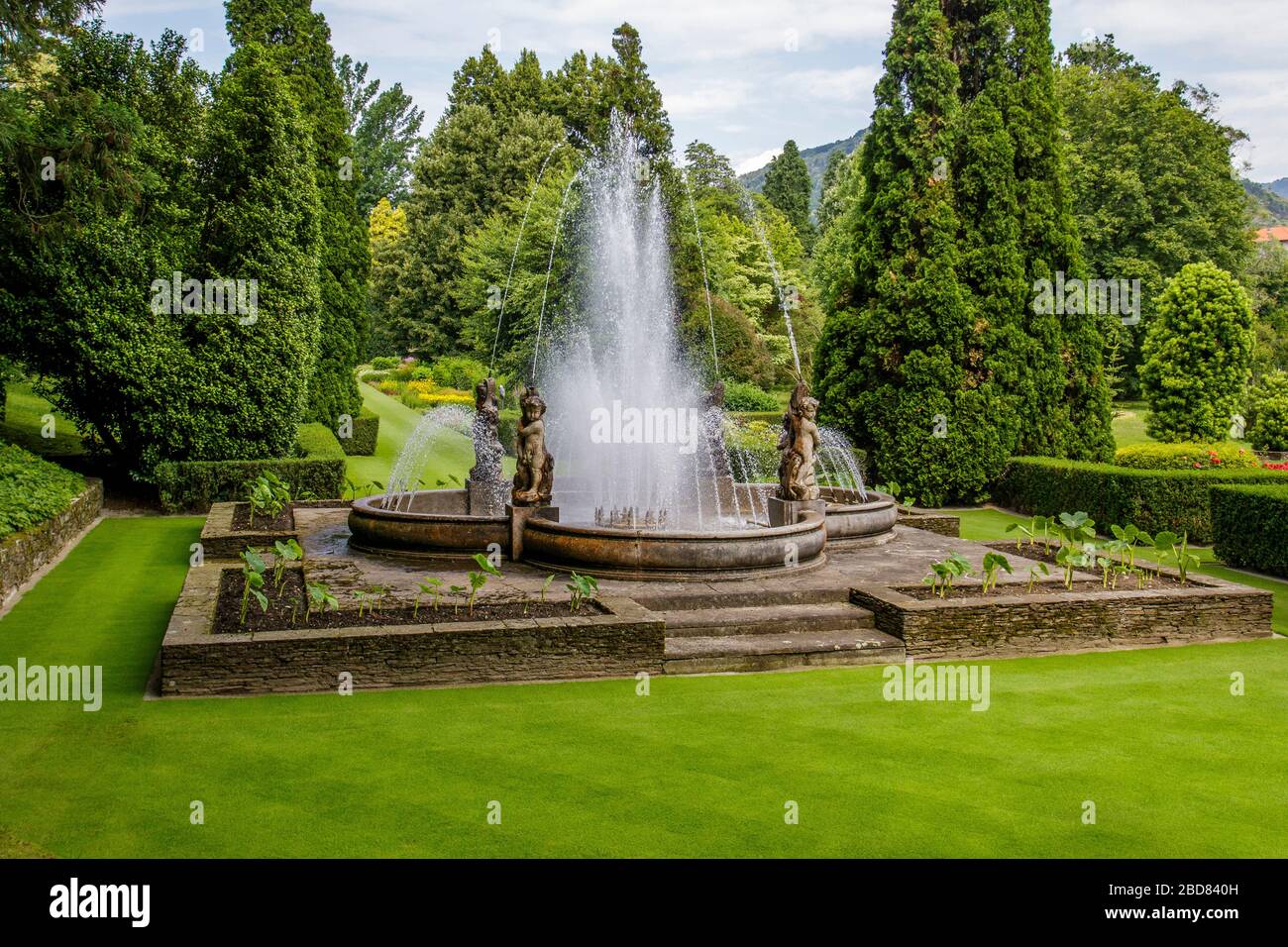 Jardin aquatique de la Villa Taranto au Lago Maggiore, Italie, Piémont Banque D'Images