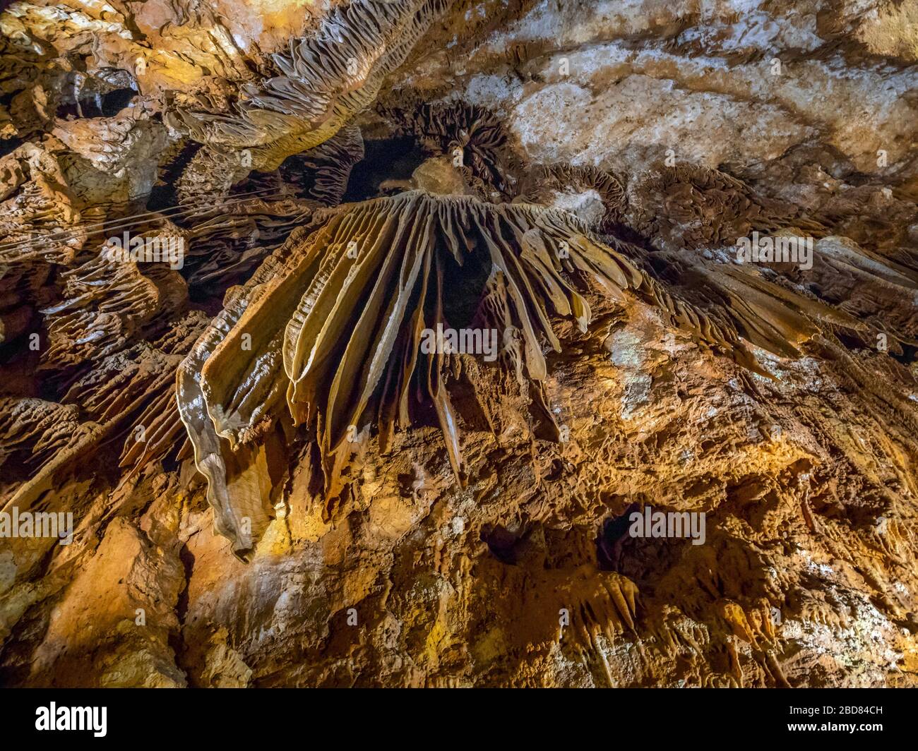 Grotte de calcaire Jama Baredine, Croatie, Istrie, Porec, Nova Vas Banque D'Images