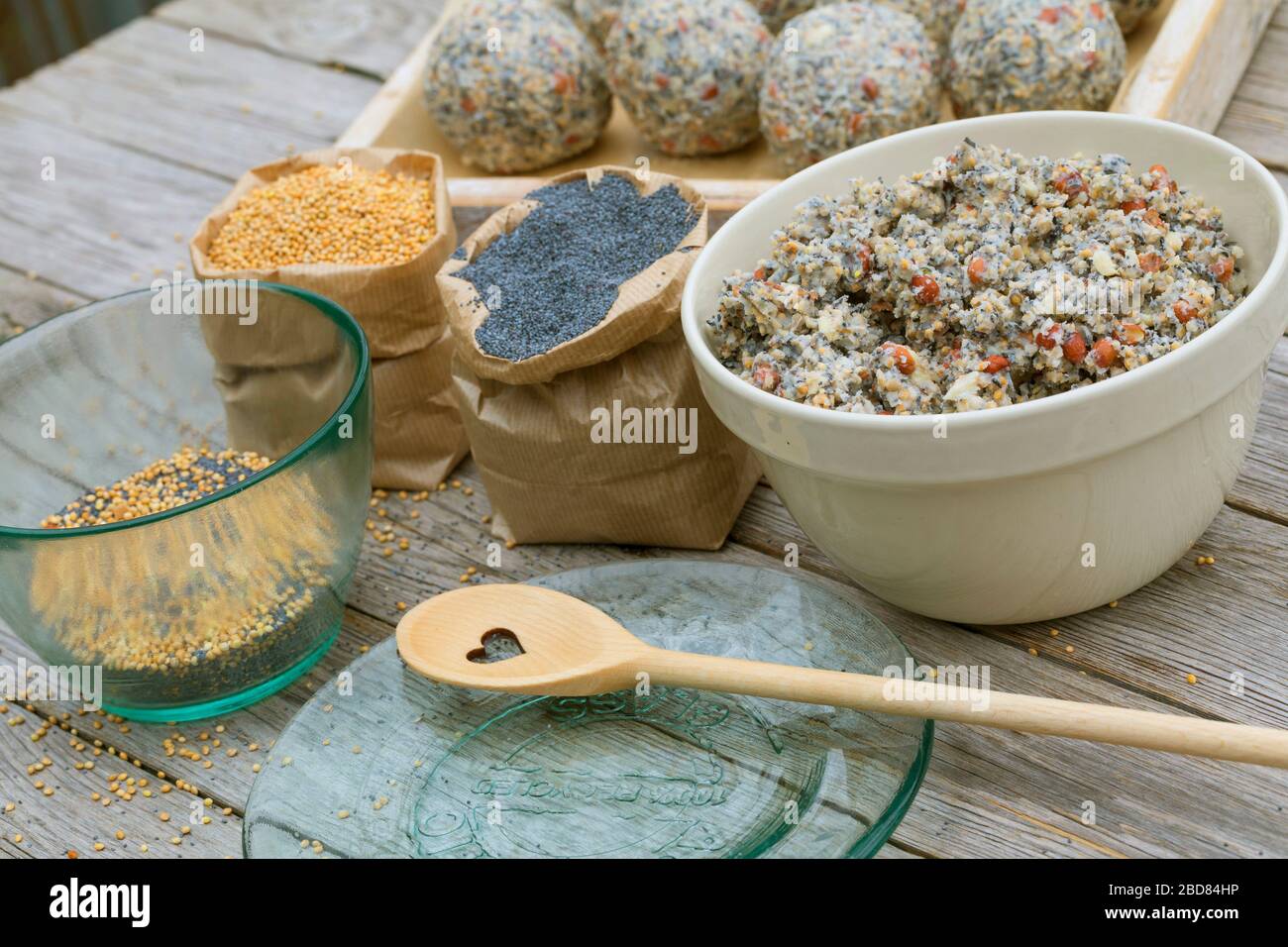 faites-le-vous des boules de graisse d'oiseau, étape un: ingrédients: nourriture riche en matières grasses, graines de pavot, graines de millet Banque D'Images