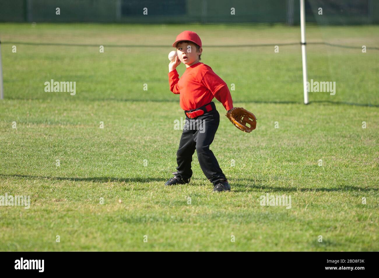 Un jeune garçon lance un baseball sur le terrain de Tball Banque D'Images