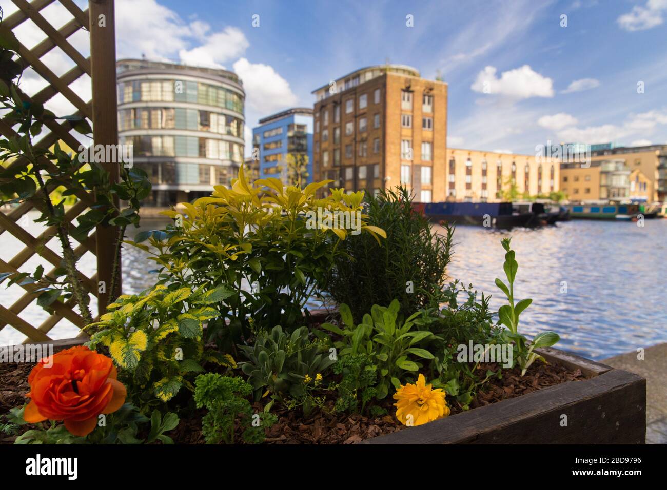 Battlebridge Basin Regent's Canal Towpath, King's Cross, Londres Banque D'Images