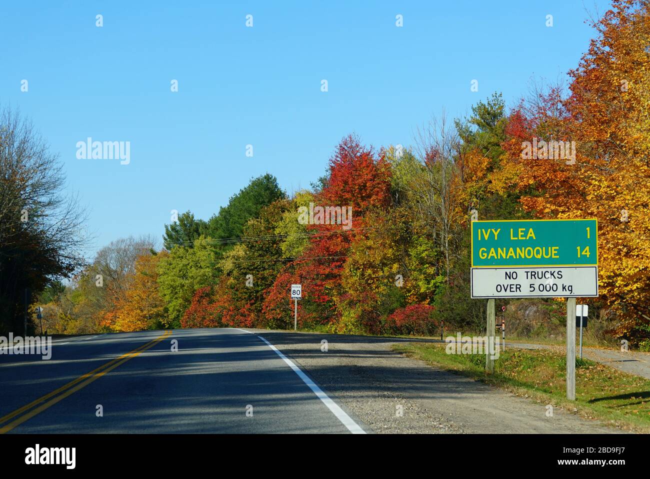 Ontario, Canada - le 28 octobre 2019 - la vue de la route vers Ivy Lea et Gananoque avec des feuilles d'automne frappantes Banque D'Images
