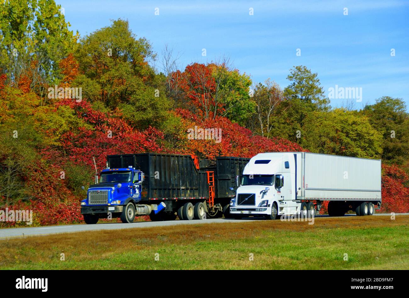 Ontario, Canada - 27 octobre 2019 - deux gros camions qui s'accélèrent sur l'autoroute de la route 401 avec des couleurs époustouflantes de feuillage d'automne Banque D'Images