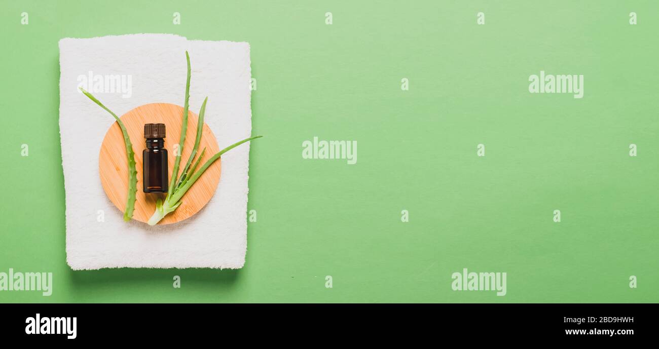 Bouteille d'aromathérapie d'huile de feuille d'aloès fraîche pour les soins de spa cosmétiques . Le concept d'un naturel à la maison cosmétiques. Banque D'Images