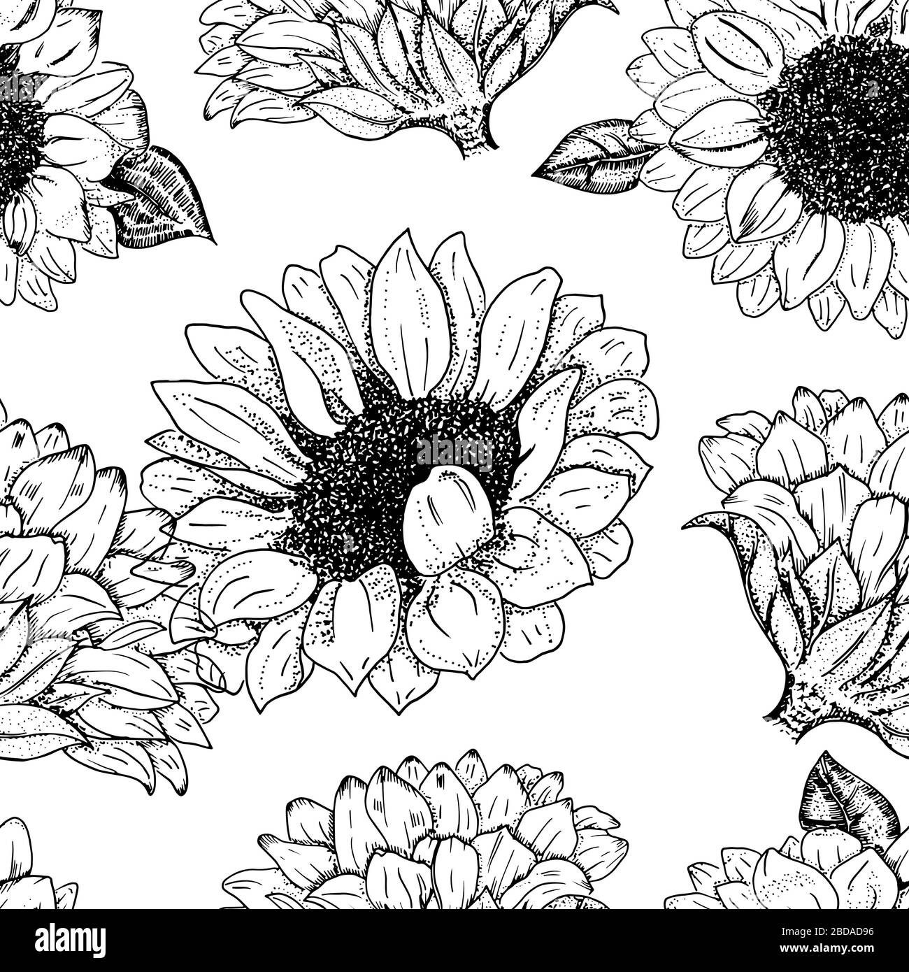 Motif vectoriel sans coutures, fleurs réalistes dessinées à la main, adapté à la conception d'estampage à feuilles chaudes Illustration de Vecteur