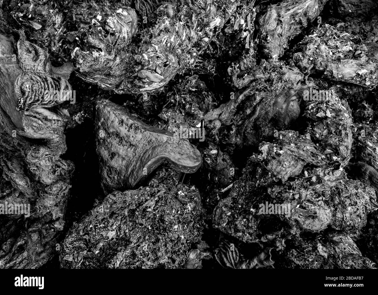 Rejeté pour le remellage de produits en polyéthylène haute densité Banque D'Images