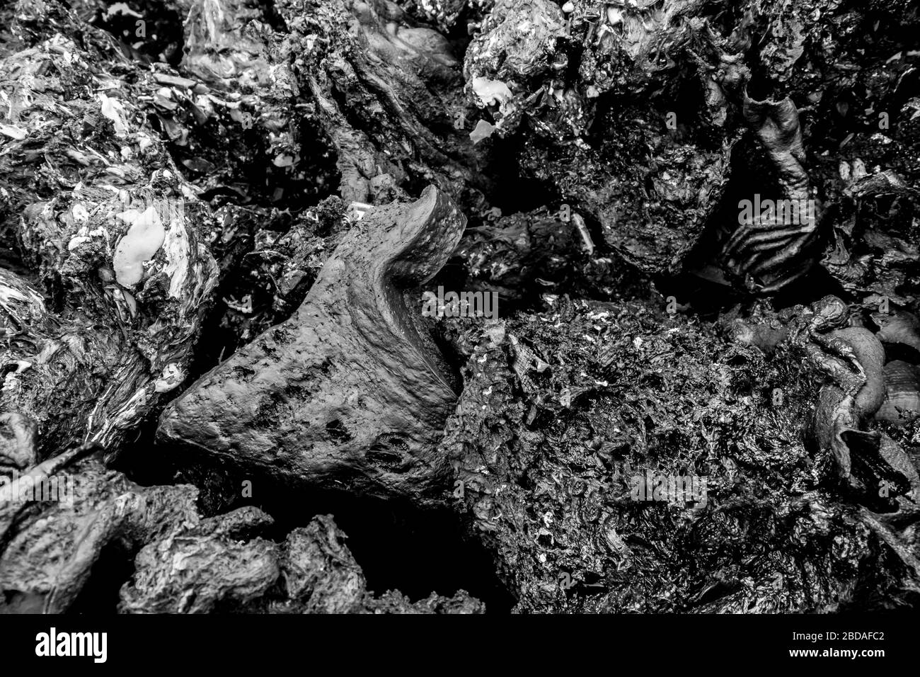 Rejeté pour le remellage de produits en polyéthylène haute densité Banque D'Images