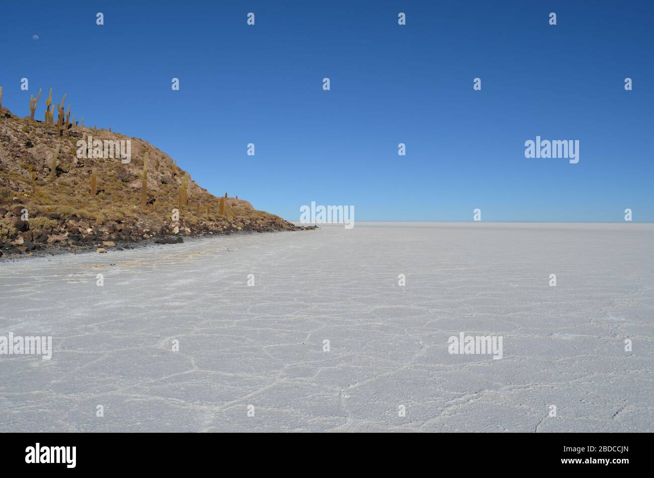 Île Incahuasi, Salar de Uyuni. Bolivie Banque D'Images