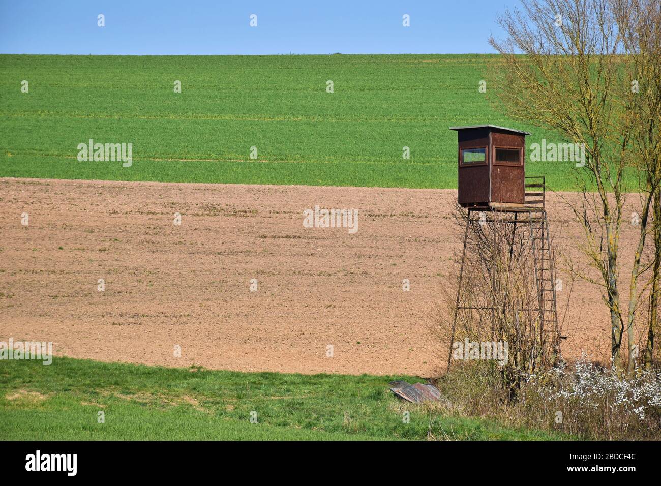 Campagne rurale avec des pagayage verts, des champs bruns et des chasseurs Banque D'Images