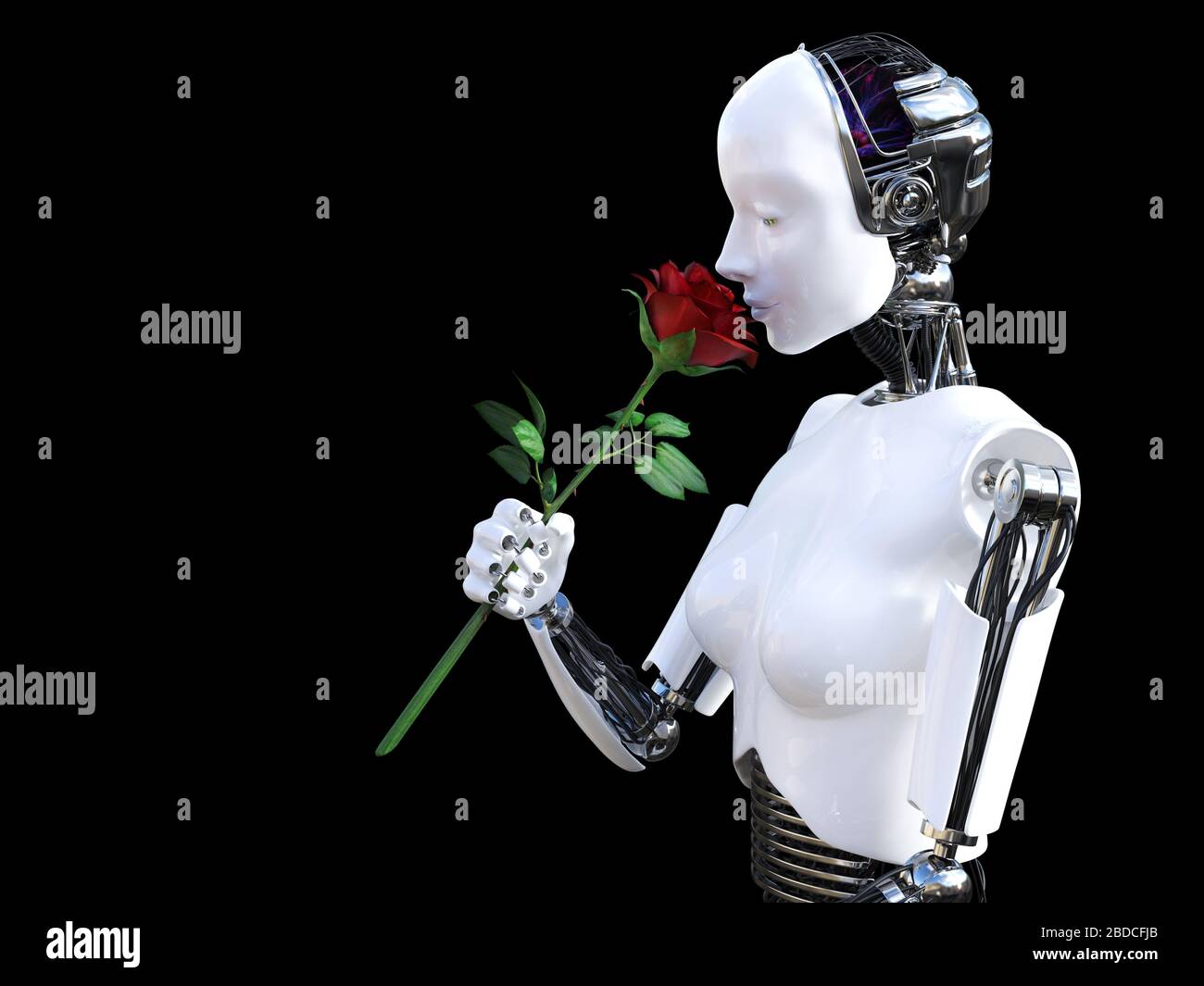 Le rendu tridimensionnel d'un robot féminin tenant une rose rouge qu'elle sent. Fond noir. Banque D'Images