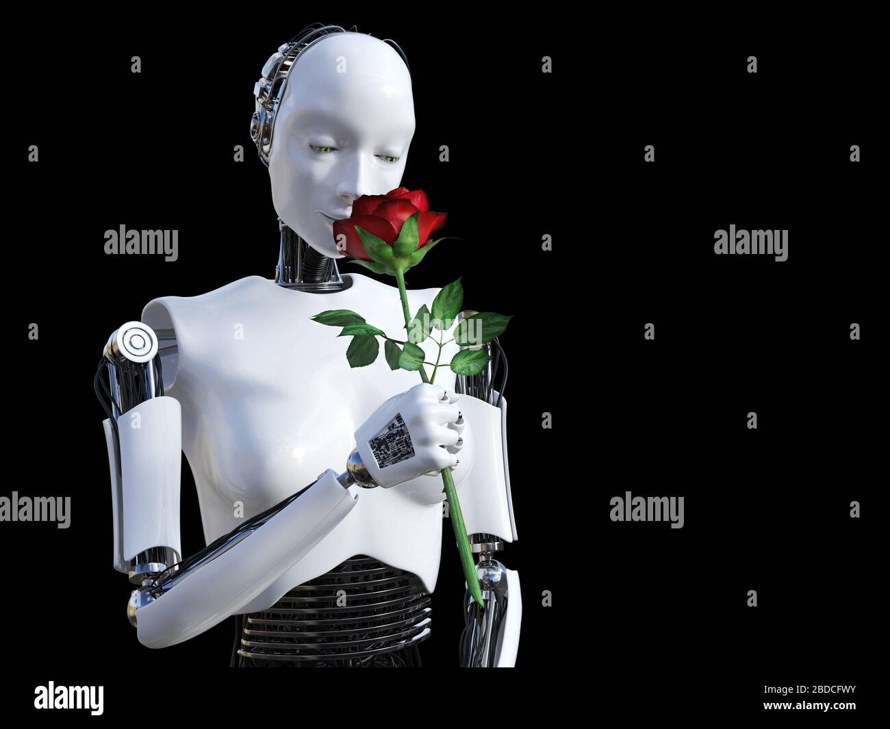 Le rendu tridimensionnel d'un robot féminin tenant une rose rouge qu'elle sent. Fond noir. Banque D'Images