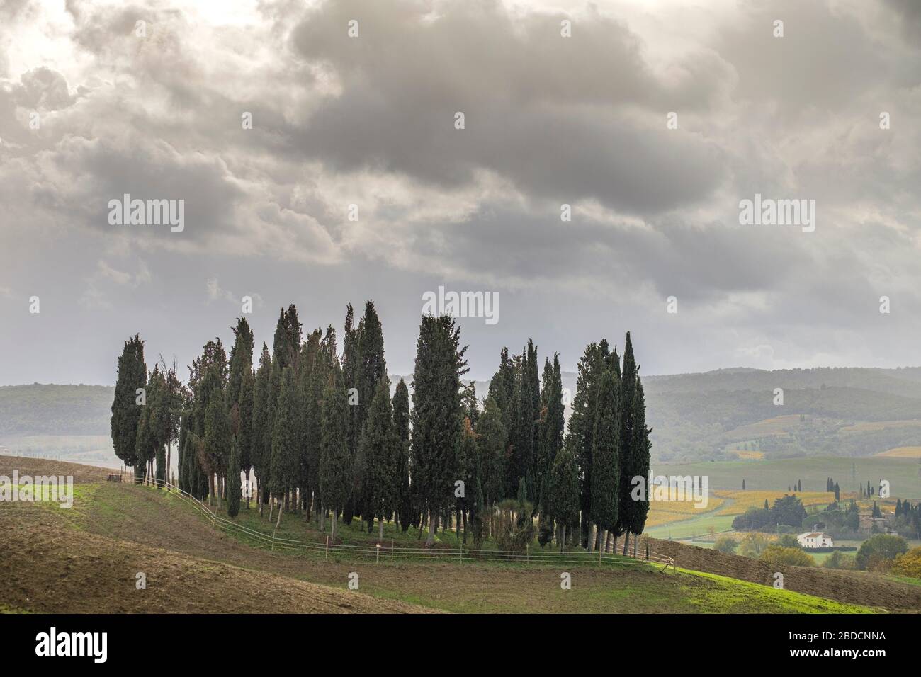 San Quirico Dorquia, Toscane, Italie Banque D'Images