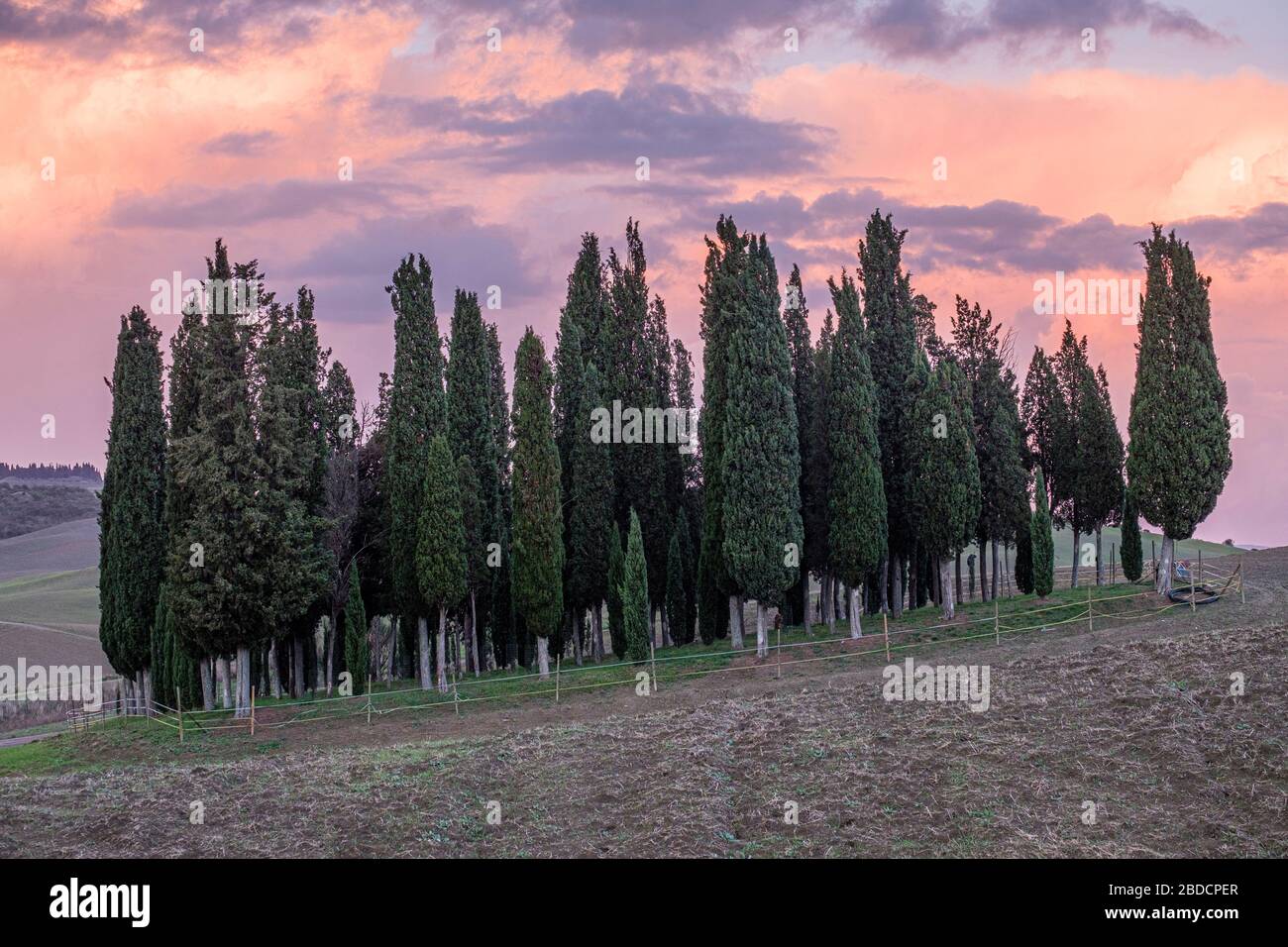 Montalcino, Toscane, Italie Banque D'Images