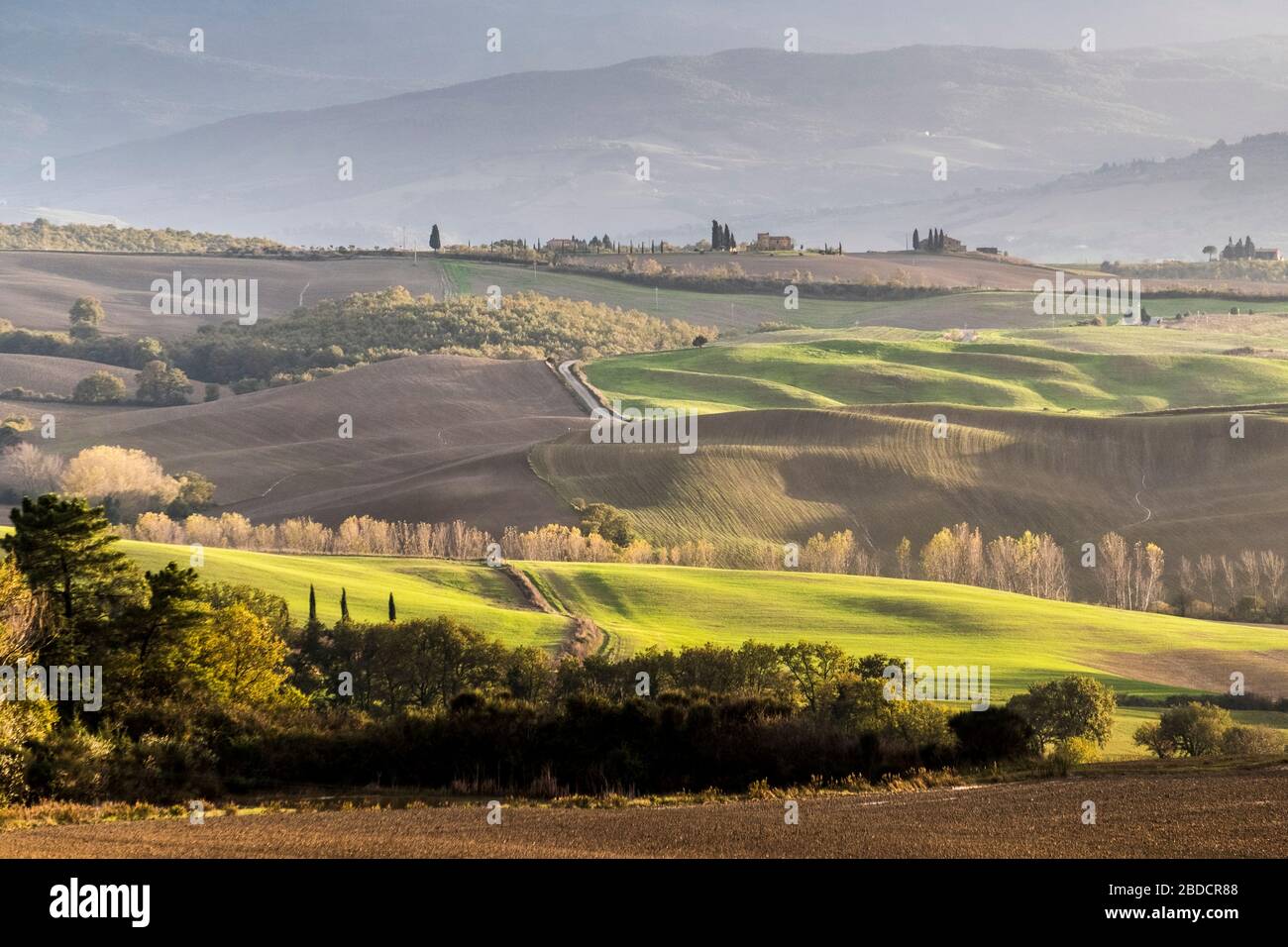 Montalcino, Toscane, Italie Banque D'Images