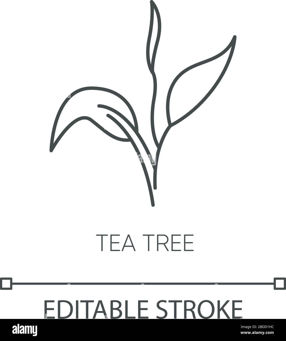 Icône linéaire Perfect Tea Tree pixel. Composant du produit Skincare. Beauté organique. Humidité des plantes. Illustration personnalisable en ligne fine. Symbole de contour Illustration de Vecteur