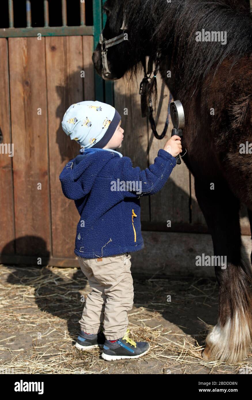 28.04.2018, Dierhagen, Mecklenburg-Ouest Pomerania, Allemagne - très petit enfant est un poney. 00S180428D384CAROEX.JPG [AUTORISATION DU MODÈLE : OUI, LA PROPRIÉTÉ SE REPLACE Banque D'Images