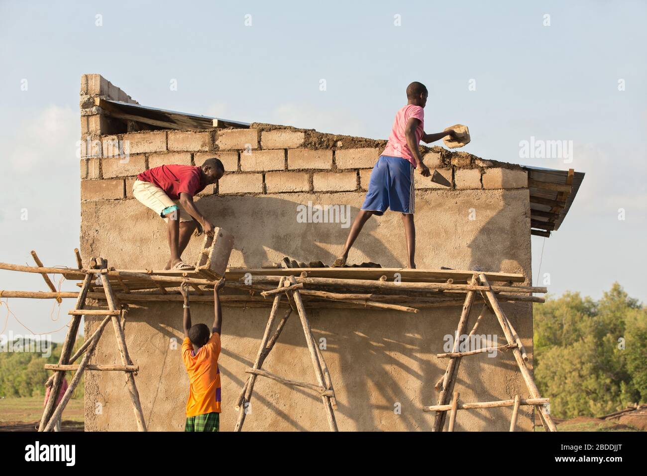 11.11.2019, Burferedo, région somalienne, Ethiopie - les travailleurs de la construction se tiennent sur un échafaudage en bois non sécurisé et en ont établi des briques en béton. Construction o Banque D'Images