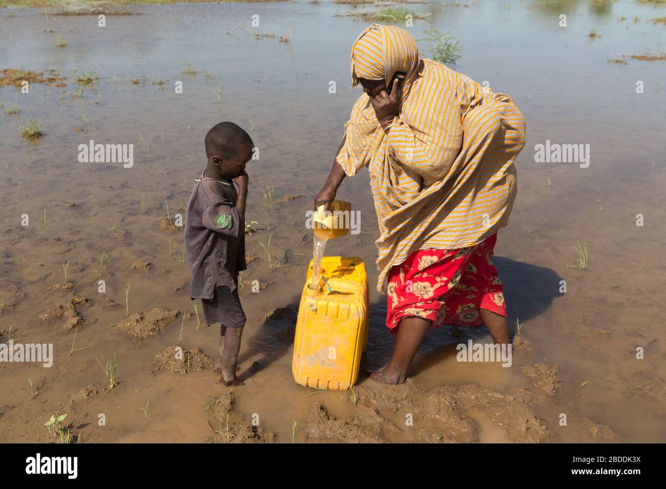 14.11.2019, Gode, région somalienne, Ethiopie - une femme ramasse l'eau d'une source d'eau naturelle dans un réservoir d'eau. Elle parle sur son téléphone portable Banque D'Images