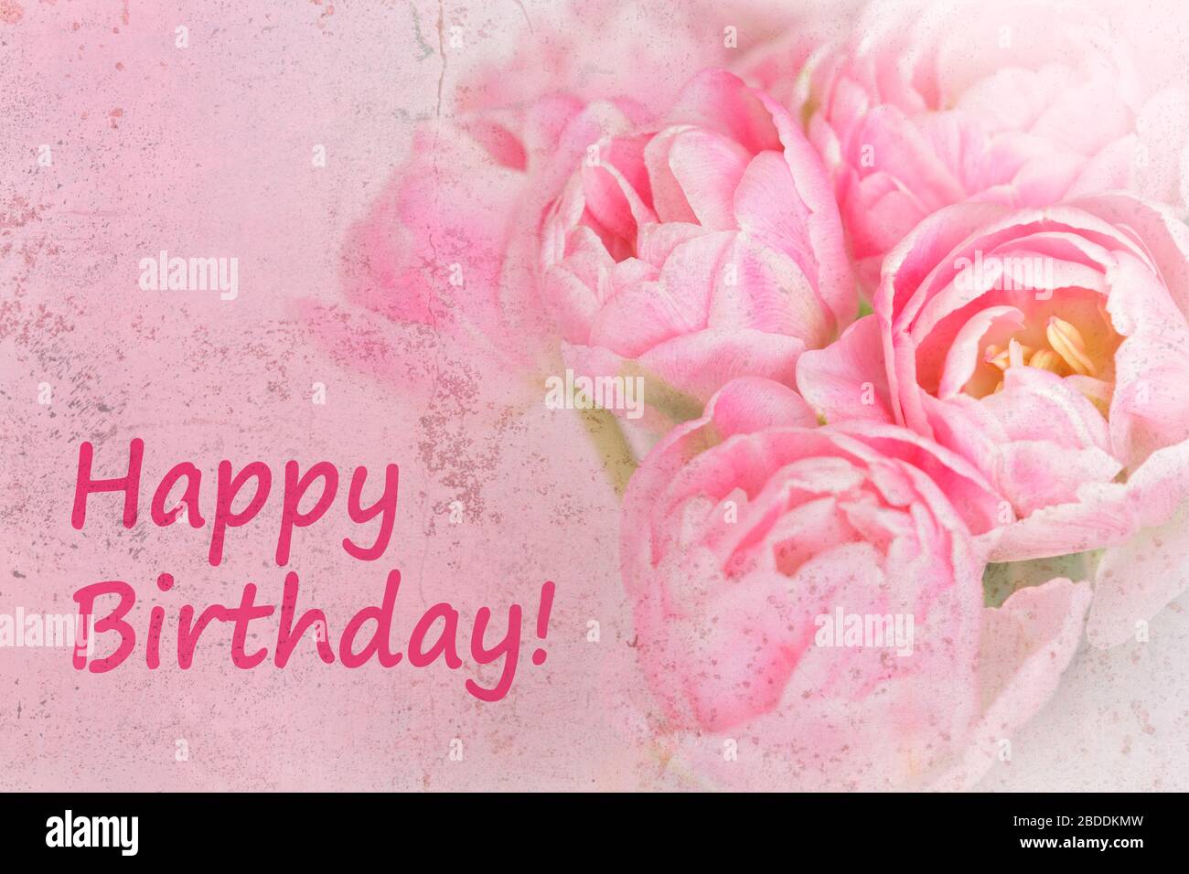 Modele De Cartes De Vœux Nostalgiques Fleurs Roses Avec Texte Joyeux Anniversaire Effet Grunge Afflige Photo Stock Alamy Modele De Cartes De Vœux Nostalgiques Fleurs Roses Avec Texte Joyeux Anniversaire Effet Grunge Afflige Photo Stock Alamy
