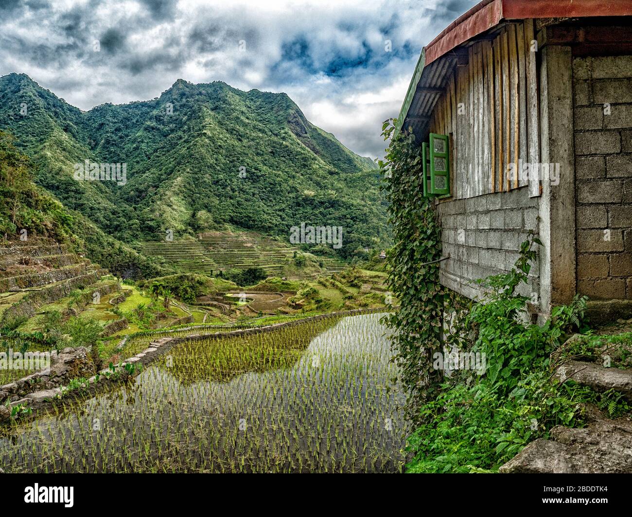 Bâtiment à Batad Village, Philippines Banque D'Images