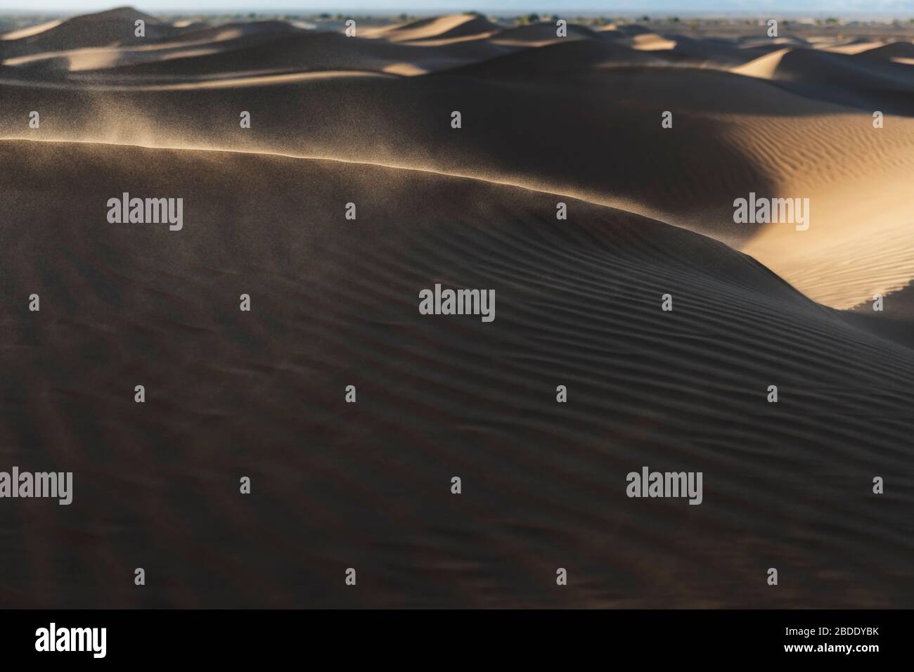 Vent soufflant du sable dans l'air dans les dunes de sable du désert au coucher du soleil. Désert du Sahara, Mhamid, Maroc. Banque D'Images