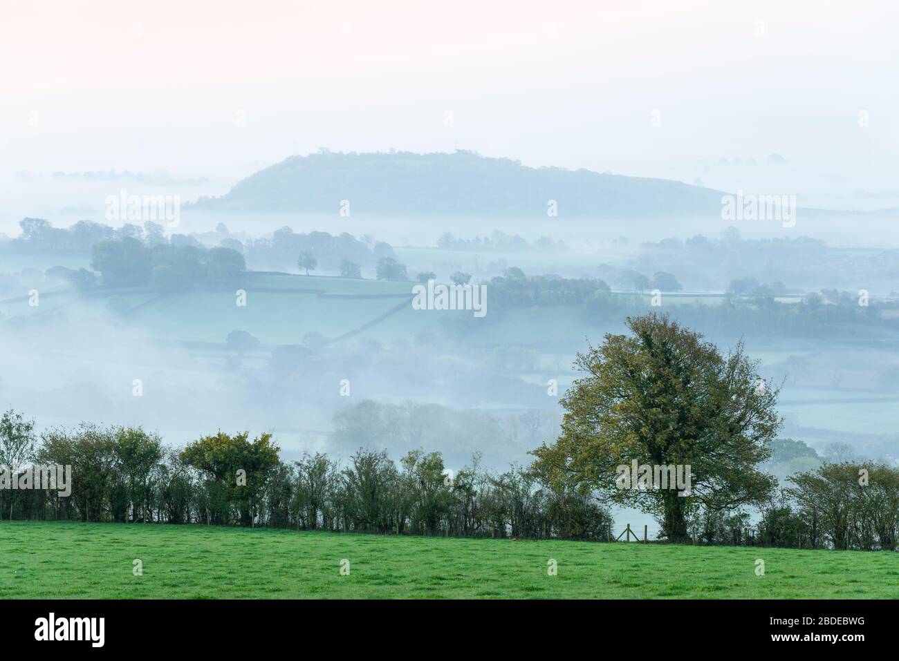 Hay Hill entouré de brume matinale vue de Deerbisset sur les collines Mendip, Somerset, Angleterre. Banque D'Images