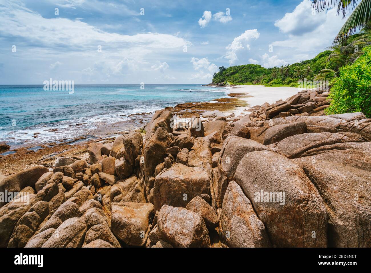 Rochers et palmiers sur la plage tropicale appelée police Bay sur l'île Mahe, Seychelles Banque D'Images