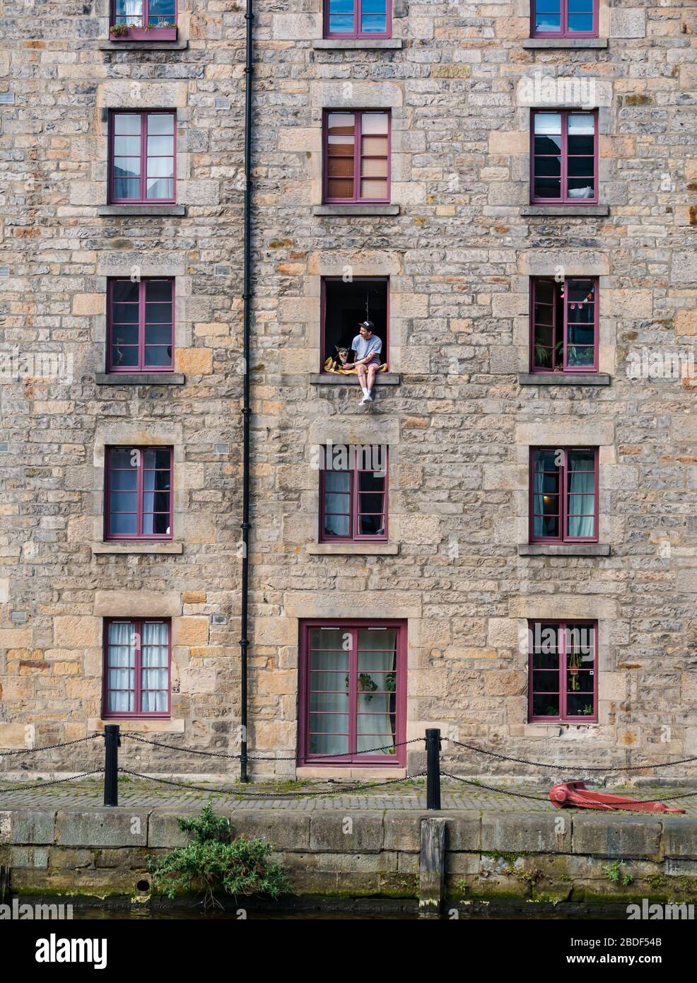 Leith, Édimbourg, Écosse, Royaume-Uni. 8 avril 2020. Verrouillage de Covid-19 : cette année, les gens sont en parfait verrouillage, ce qui fait partie des jours ensoleillés les plus chauds. Un homme et son chien s'assoient de manière précariante dans une fenêtre ouverte du 3ème étage de l'entrepôt de Cooperage transformé en appartements sur la rive le long de l'eau de Leith Banque D'Images
