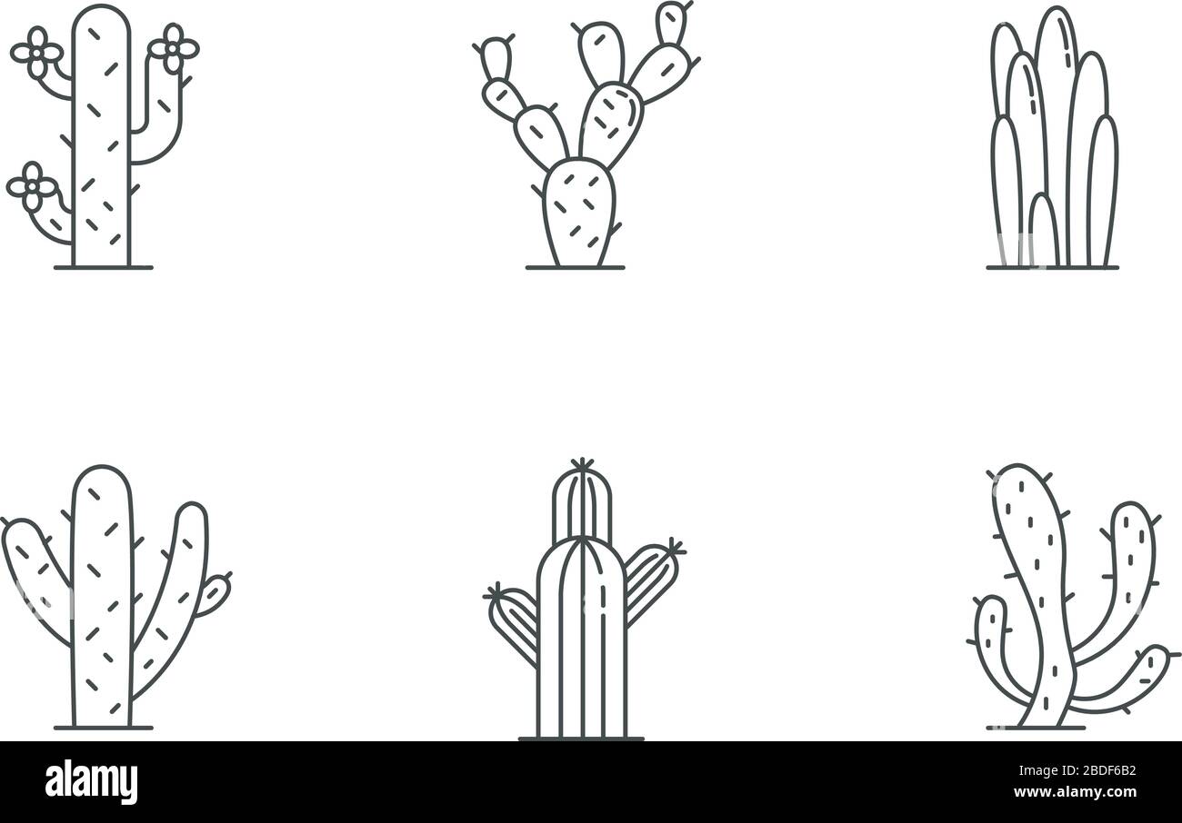 Le jeu d'icônes linéaires pixels parfaits. Plantes du désert américain avec des troncs charnus. Famille des Cactaceae. Symboles de contour de ligne mince personnalisables. Isolé Illustration de Vecteur