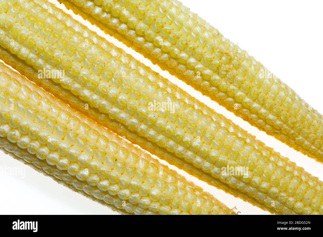 Maïs-Sweetcorn pour bébé sur fond blanc. Banque D'Images
