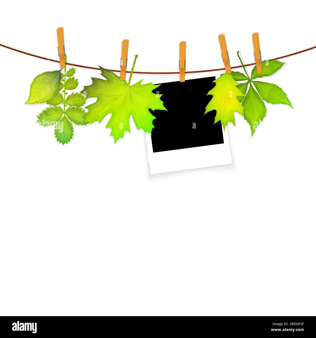 Cadre photo sur corde avec des clothespins et feuilles vertes fond vectoriel Illustration de Vecteur