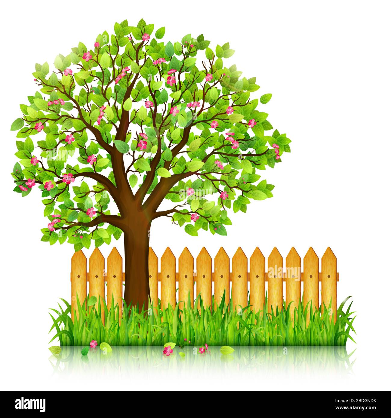 Arrière-plan de printemps avec de l'herbe verte, l'arbre en fleur et jardin clôture vector Illustration de Vecteur