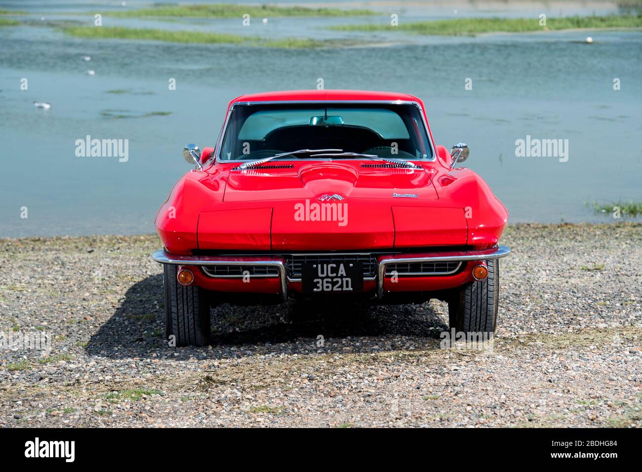 1966 Corvette Stingray voiture de sport américaine classique Banque D'Images