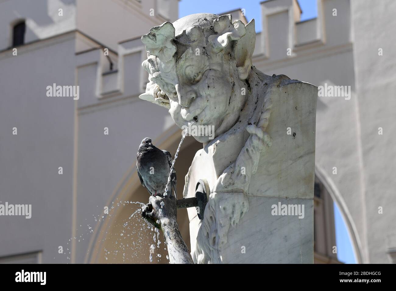 La vie publique en temps de pandémie de coronavirus le 5 avril 2020 à Munich. Un pigeon se trouve à côté du jet d'eau d'une fontaine de Karlstor dans la zone piétonne. Restrictions de sortie, verrouillage de contact. | utilisation dans le monde entier Banque D'Images