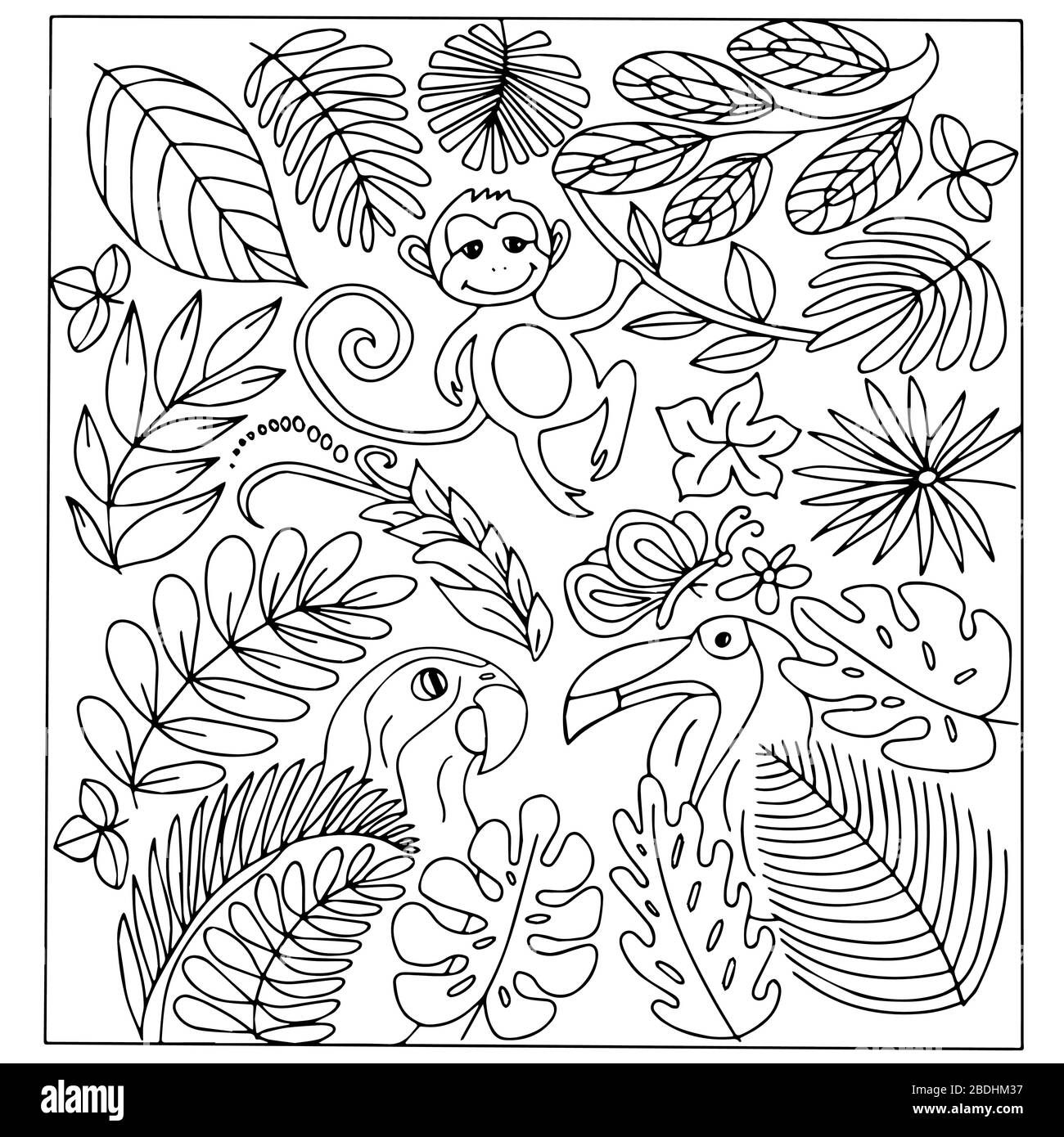 Ensemble de plantes tropicales, feuilles, singes, perroquets. Image vectorielle en noir et blanc dans un style caniche. Pour la conception de l'emballage, des textiles et des enfants Illustration de Vecteur
