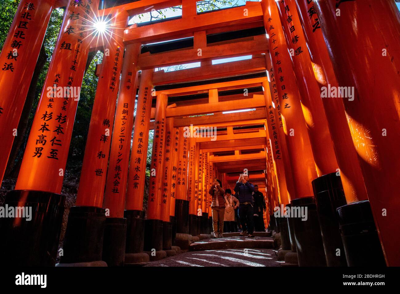 Sanctuaire De Fushimi Inari Taisha Japon Photo Stock Alamy