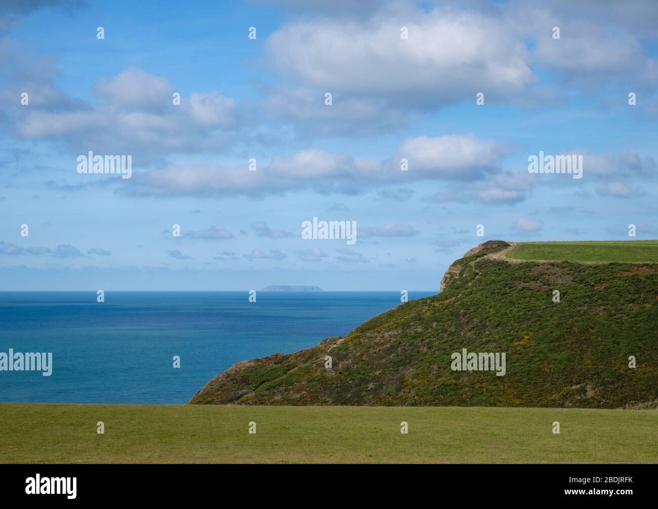 Les falaises escarpées près de Morwenstow sur la côte atlantique des Cornouailles offrent des vues magnifiques sur Lundy, le long du sentier de la côte sud-ouest Banque D'Images